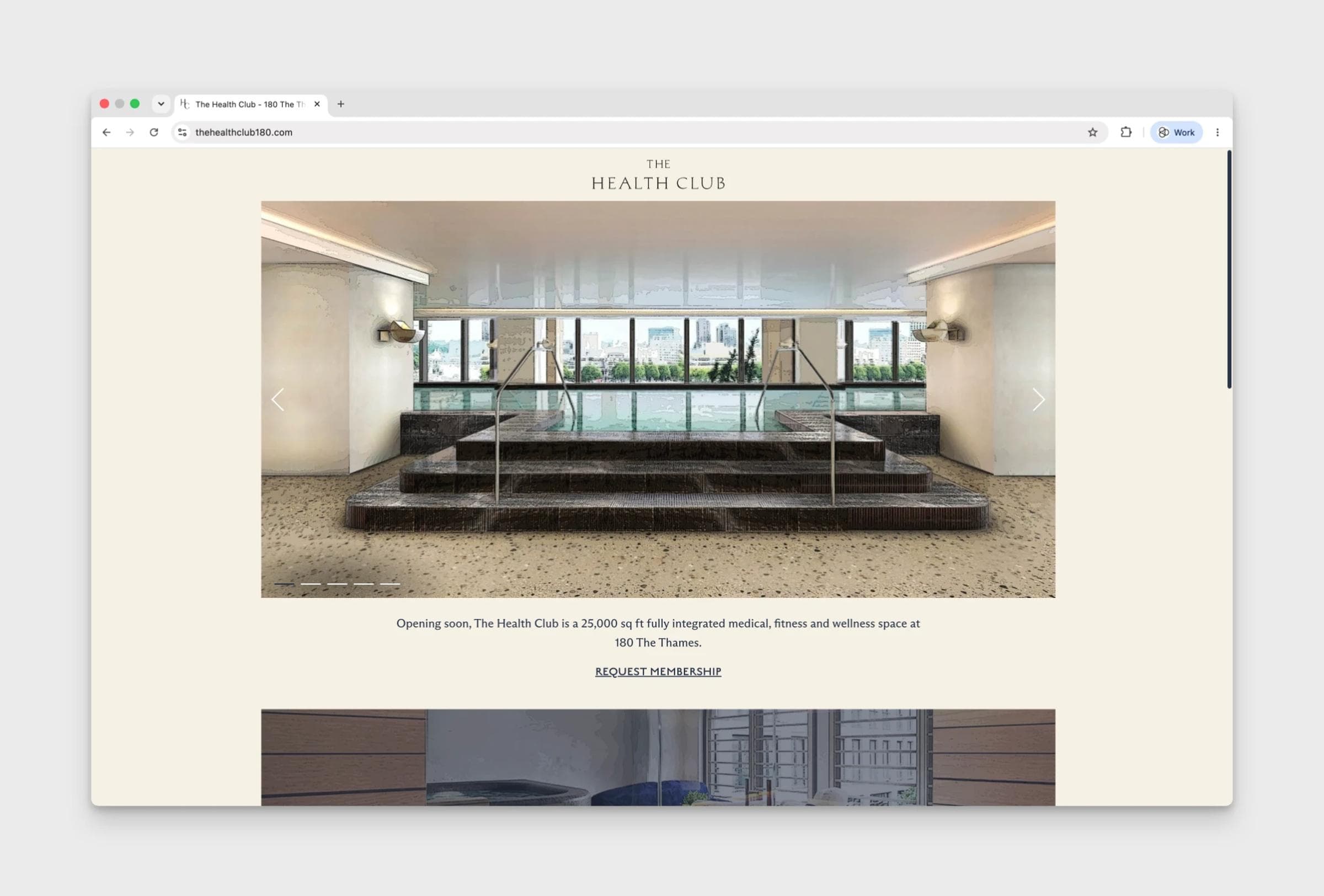 The Health Club Website